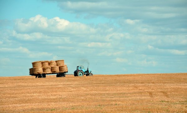 Les Enjeux de la Gestion des Déchets Agricoles en France