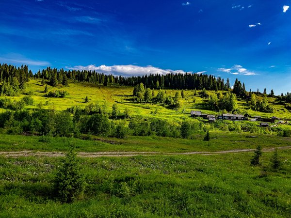 Quels sont les enjeux de la gestion durable des forêts ?
