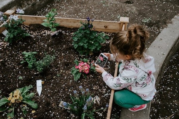 Les enjeux de la production horticole durable