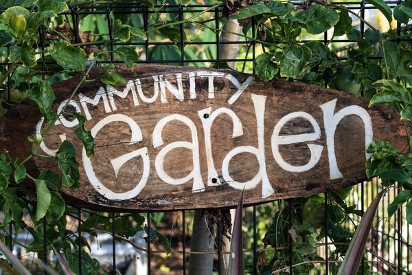 Quels sont les défis de l'horticulture urbaine et comment les surmonter ?