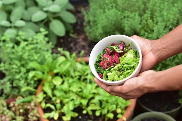 Quels sont les métiers de l'horticulture ? 